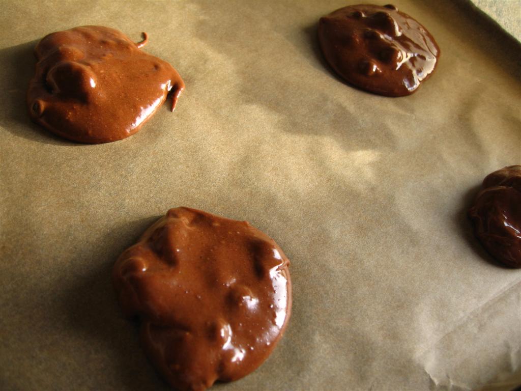 Chocolate cookies