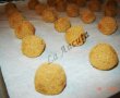 Fursecuri Snickerdoodles-4