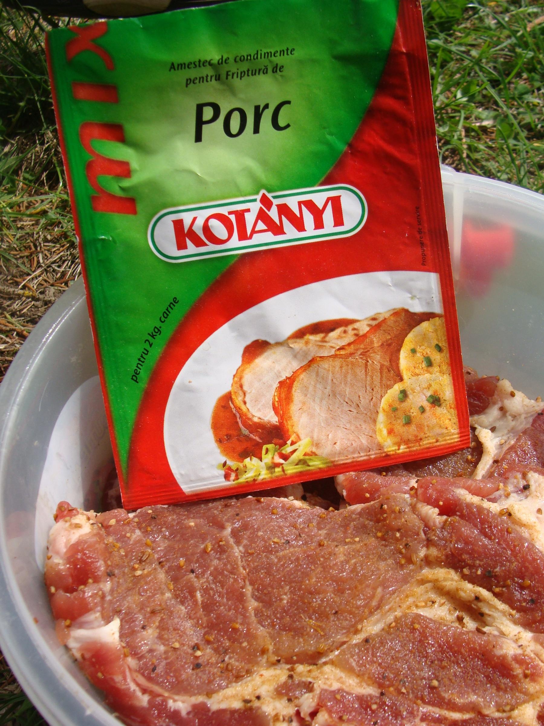 Gratar cu condiment Kotanyi