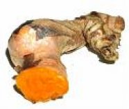 Curcuma