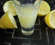 Limonada-4