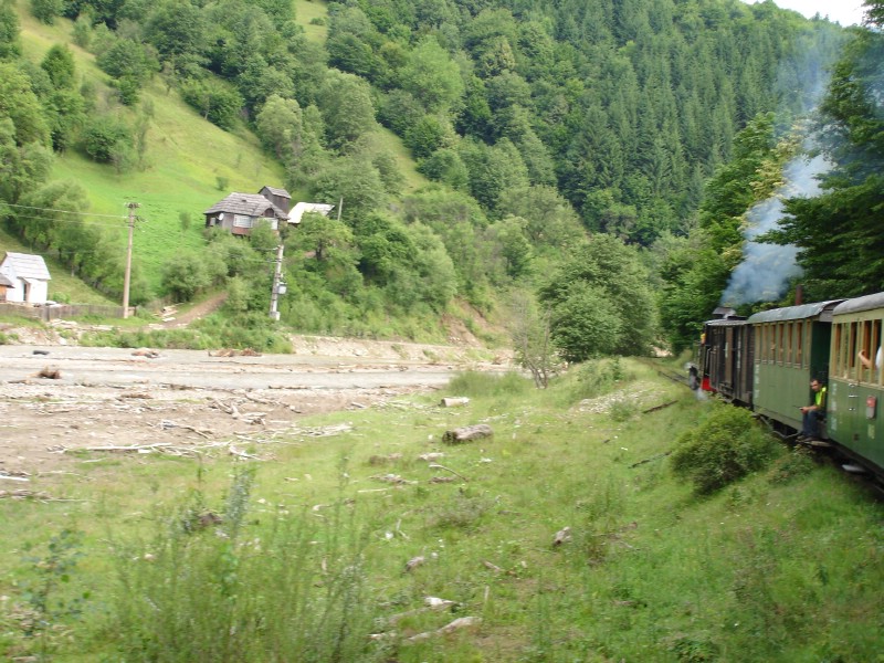 Cu mocanita pe Valea Vaserului