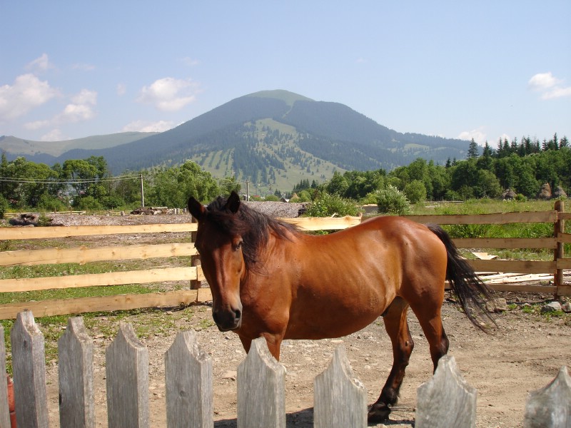 Maramu si nu numai