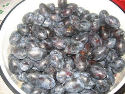 Gem de prune