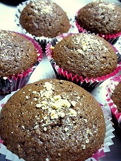 Chocolate Muffins