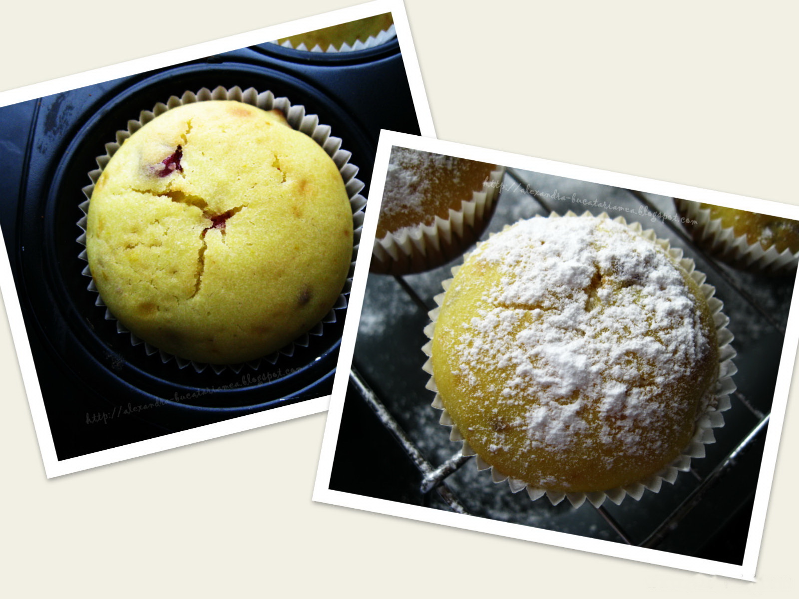 Cranberry Orange Muffins