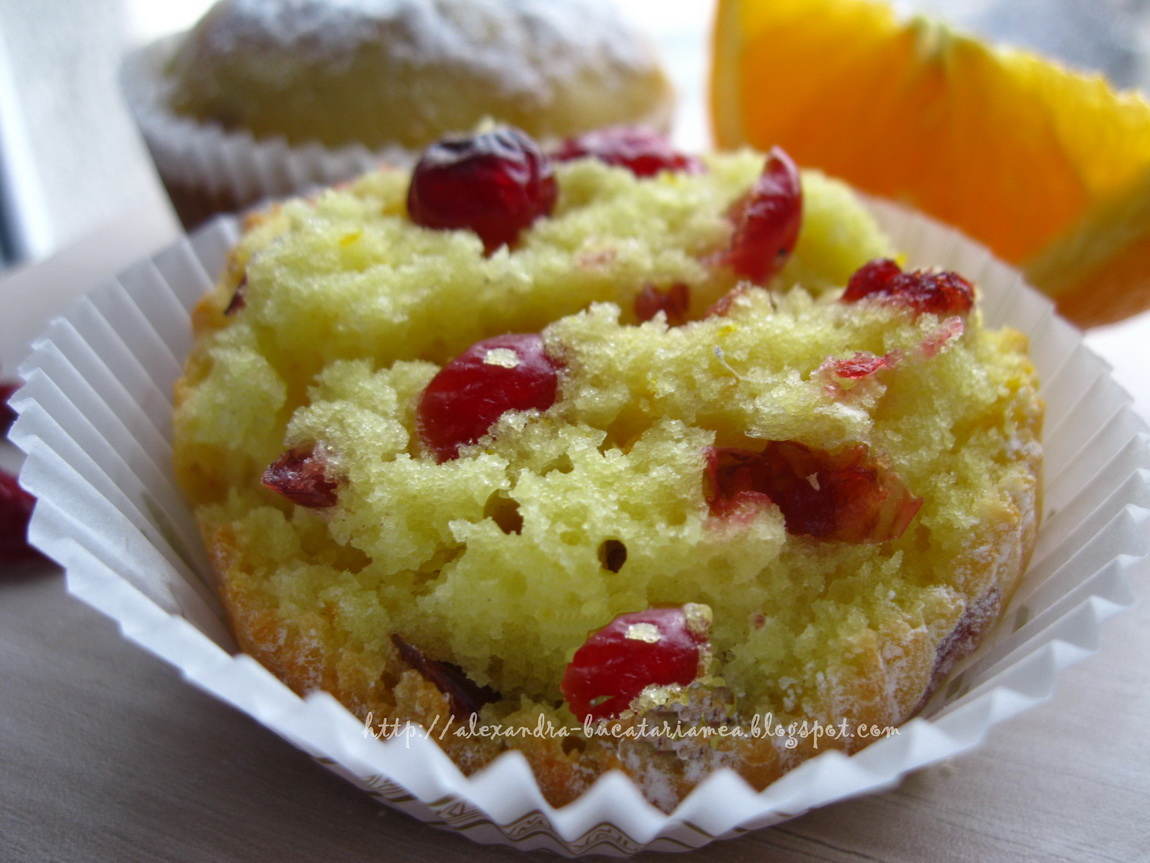 Cranberry Orange Muffins