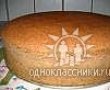 TORTA DE PAN-DI-SPANIA CU VANILIE SI FRUCTE-1