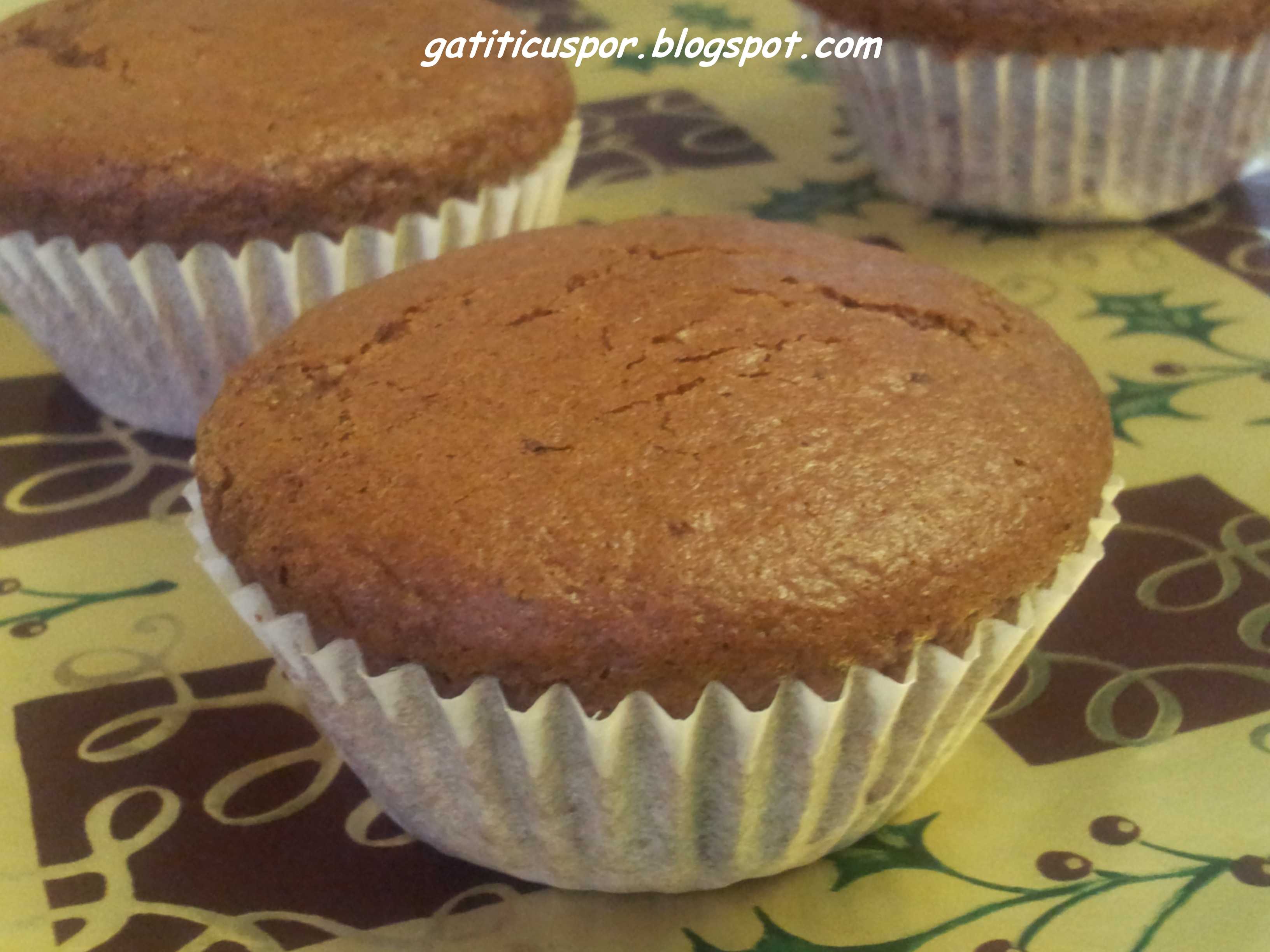 Chocolate Muffins