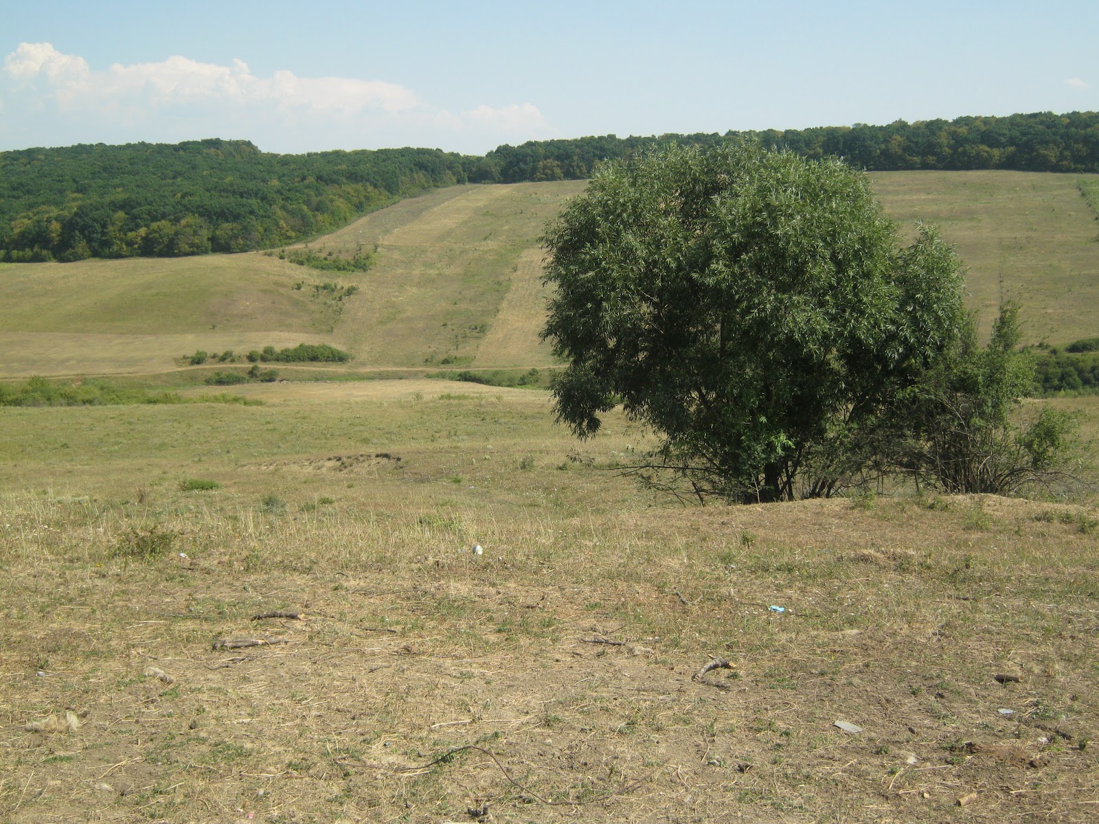 La stana