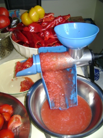 Ketchup Panacris