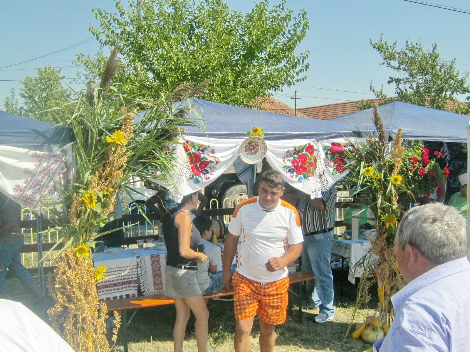 Festivalul Sarmalelor editia a IV-a -Salonta 02 septembrie 2012