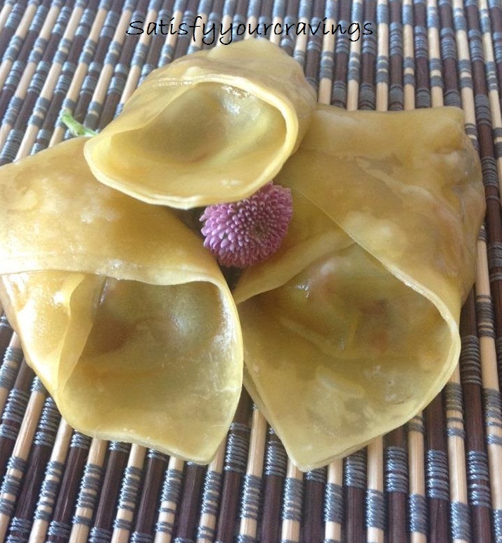 Wonton vegan/ de post