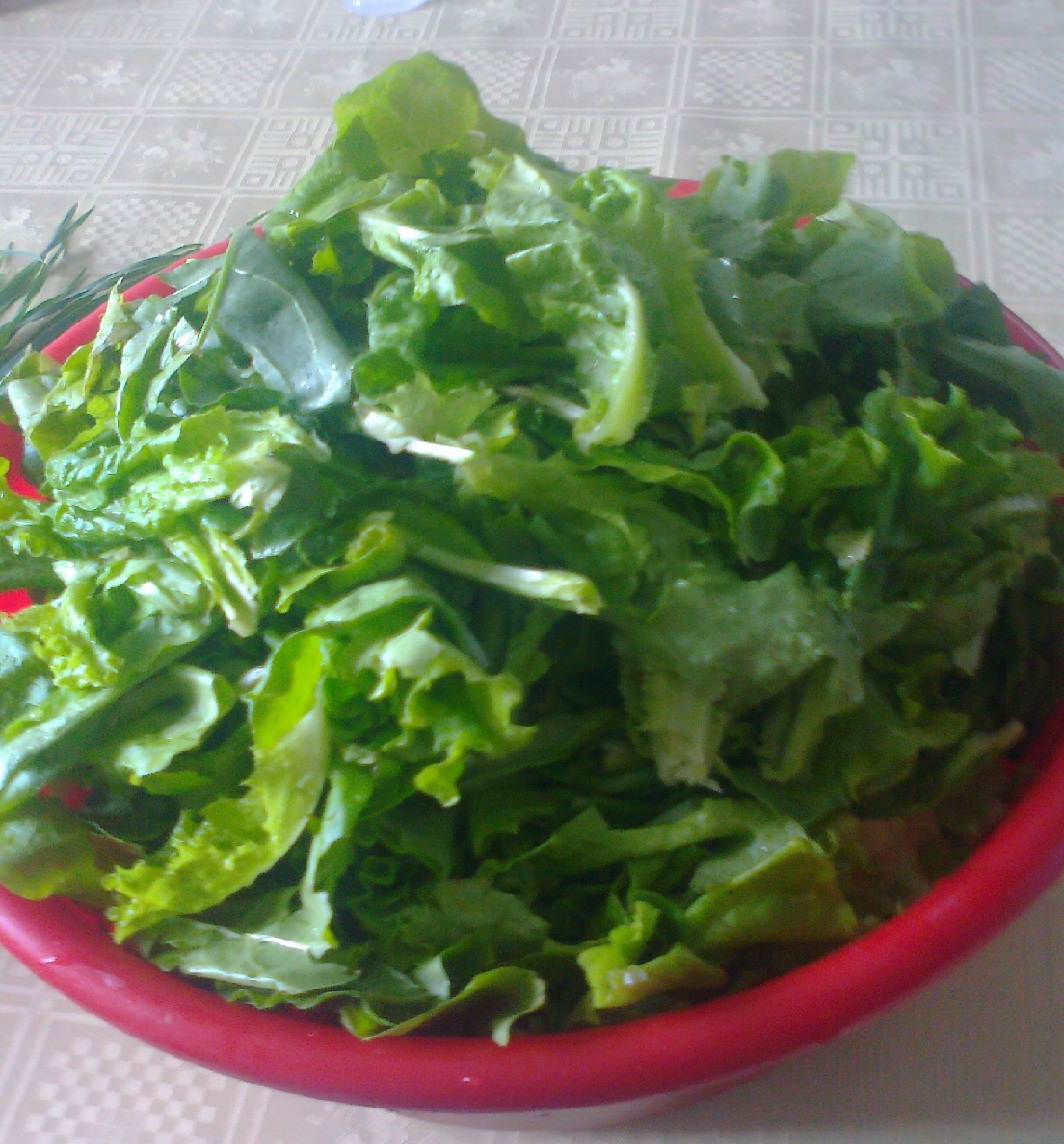 Ciorba de salata verde