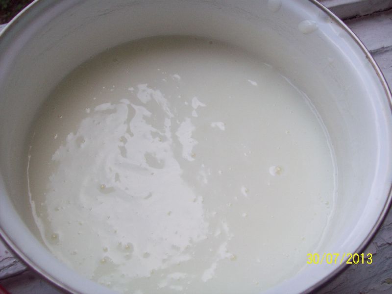 Prajitura cu crema de lapte