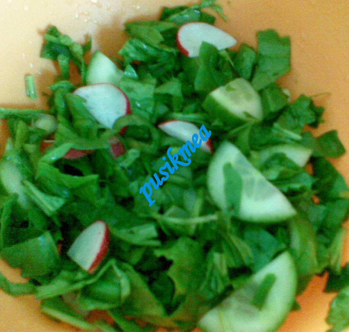 Salata de sapanac