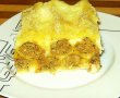 Cannelloni cu carne de porc-13