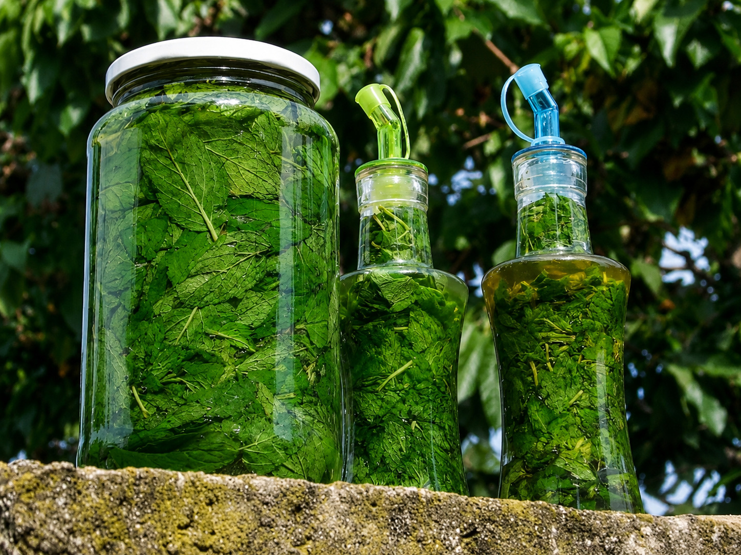 Extract de menta
