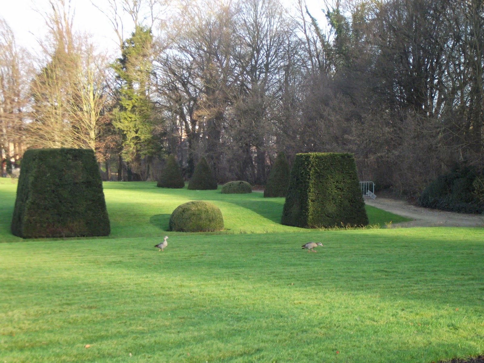 Vacanţă în Belgia