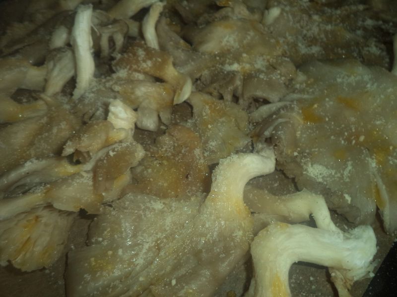 Pleurotus la cuptor cu parmezan ras si mujdei de usturoi