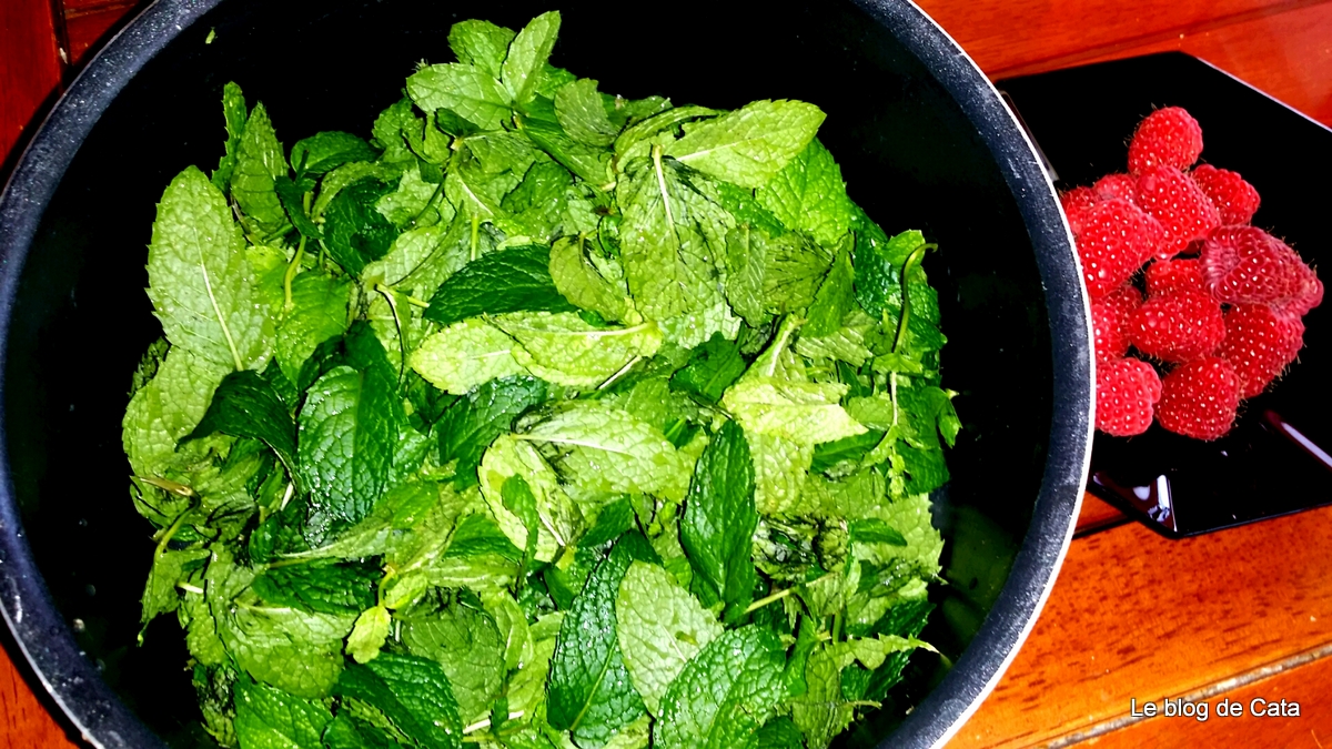 Sirop de menta de casa