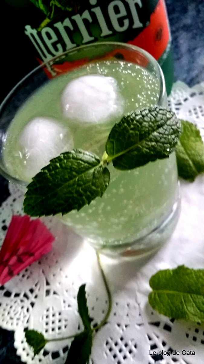 Sirop de menta de casa