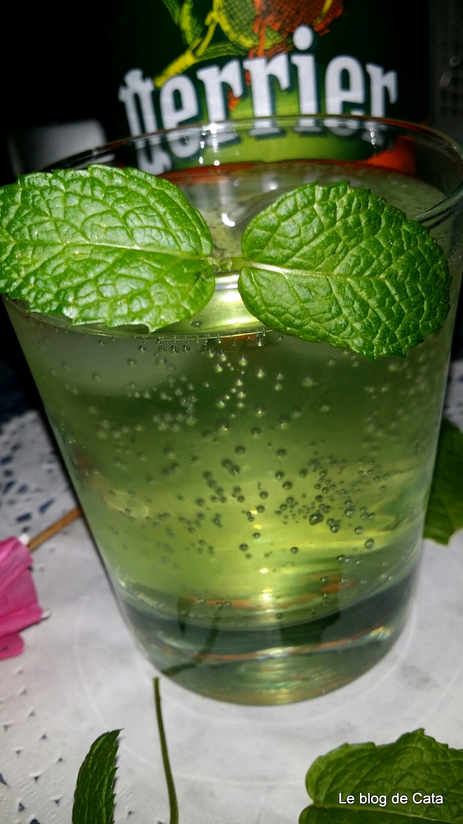 Sirop de menta de casa