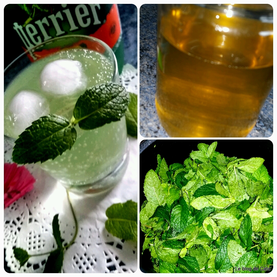 Sirop de menta de casa