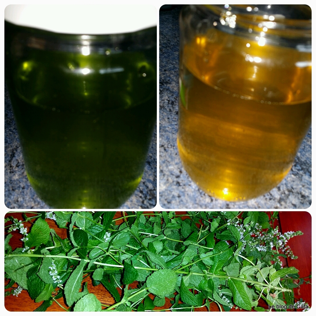 Sirop de menta de casa