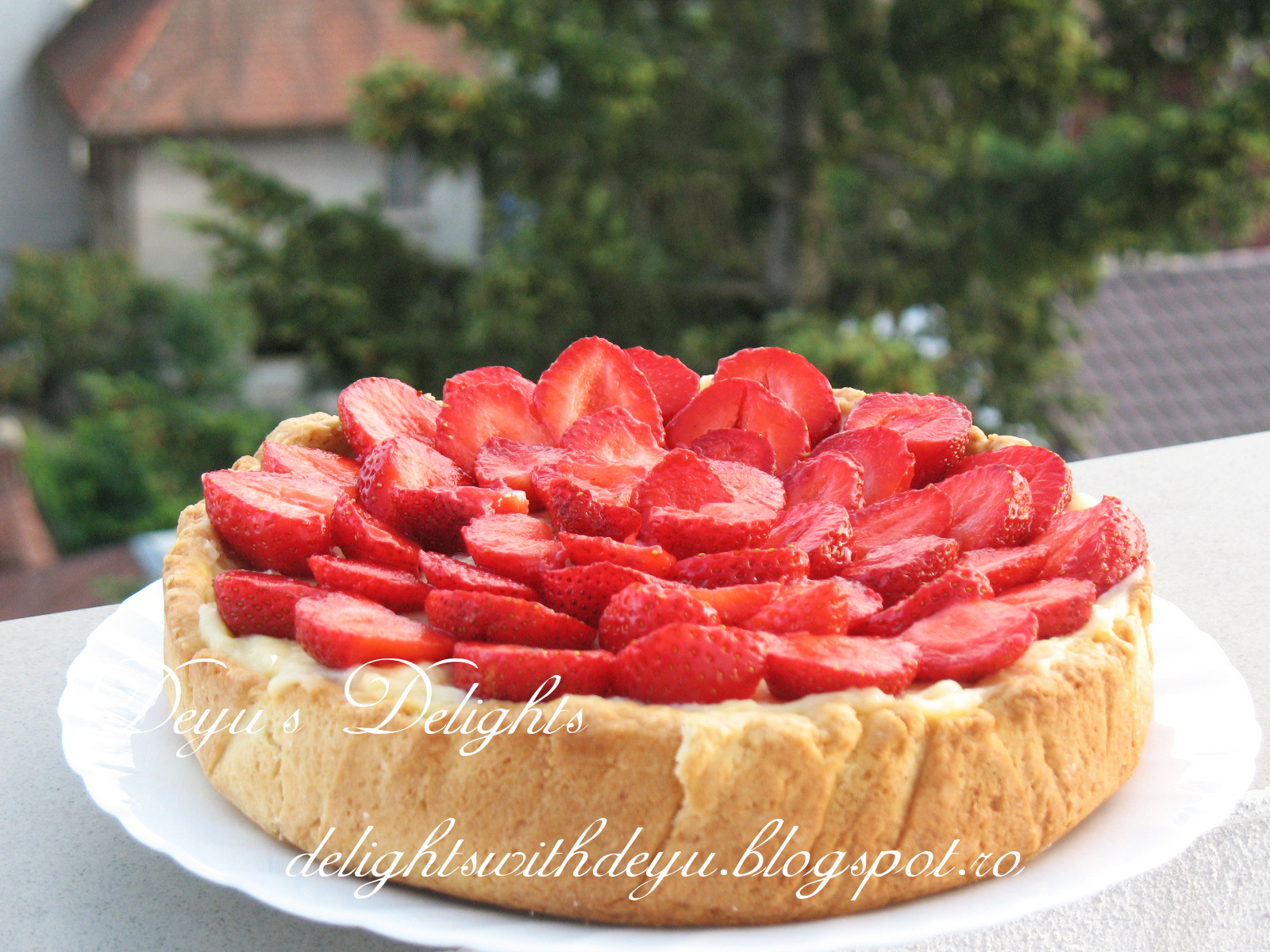 Tarta cu crema de vanilie si capsuni