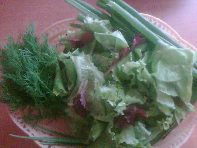 Placinta cu salata (asortata)