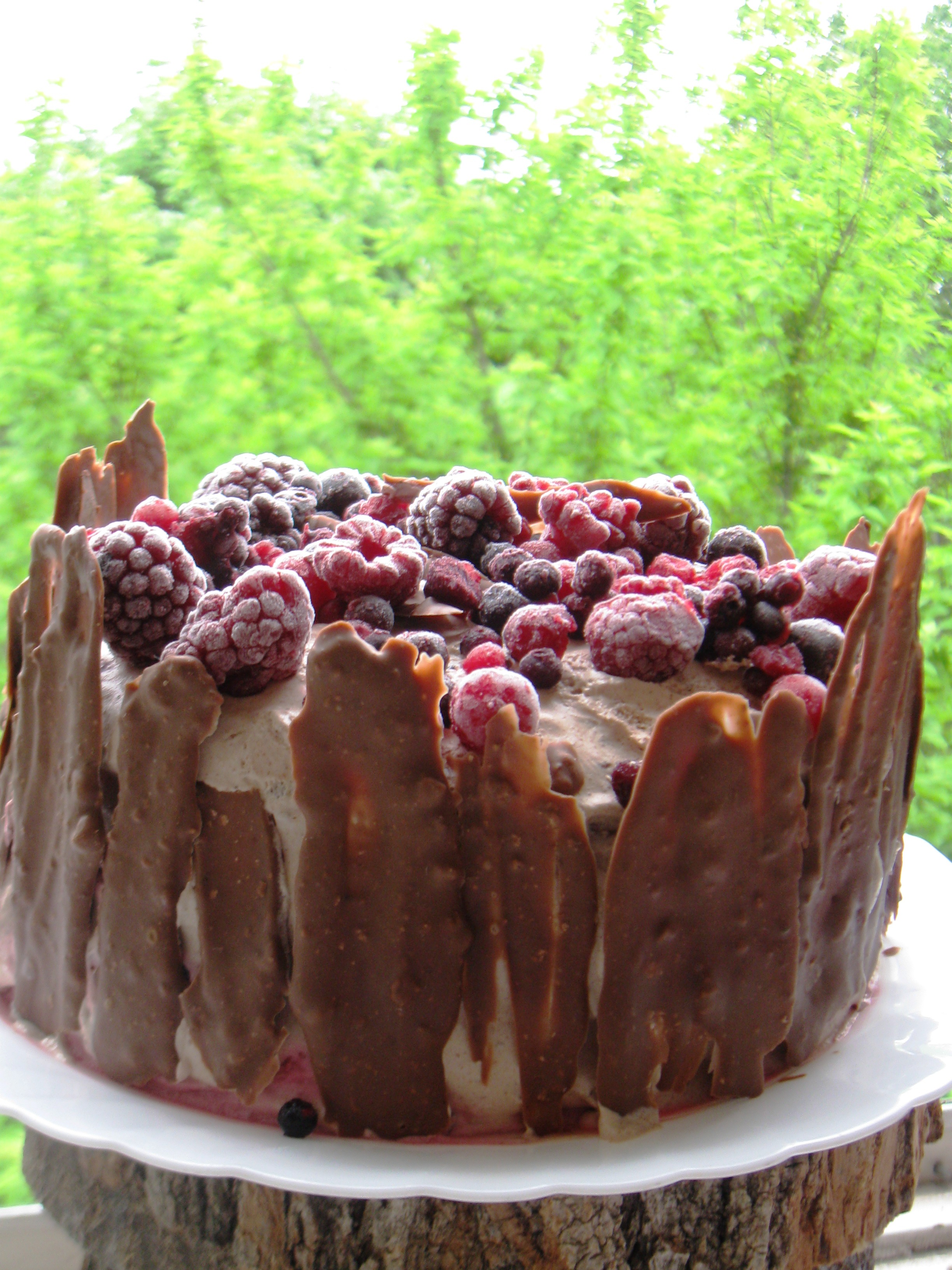 Tort cu fructe de padure si crema de ciocolata