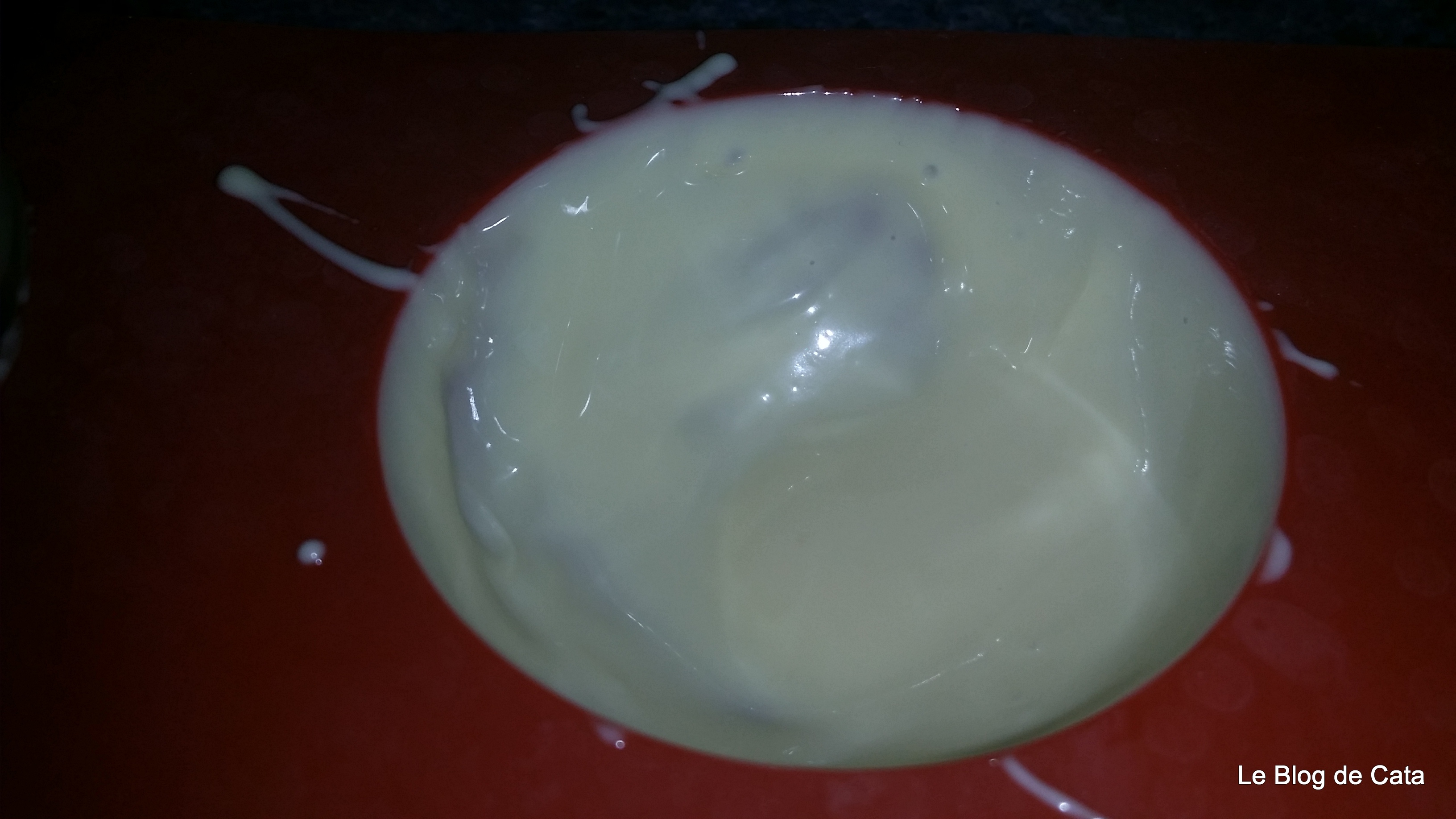 Panna cotta in forma de ou