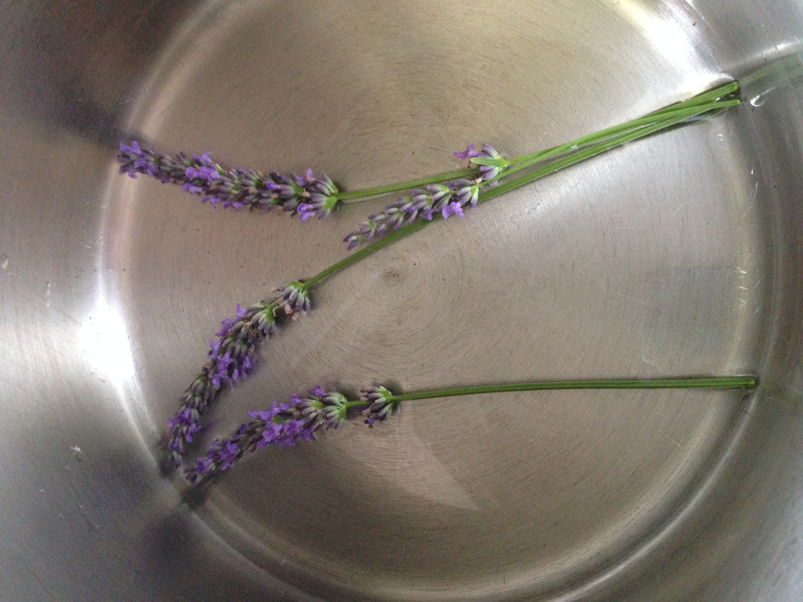 Dulceata de agrise cu lavanda - Provence