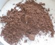 Prajitura cu cacao, visine si caise - de post-1