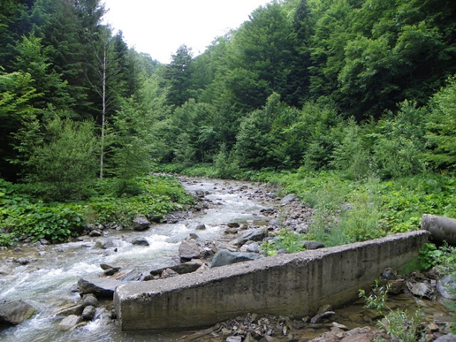 Lepsa-astazi Cheile Tisitei si Cascada Putna