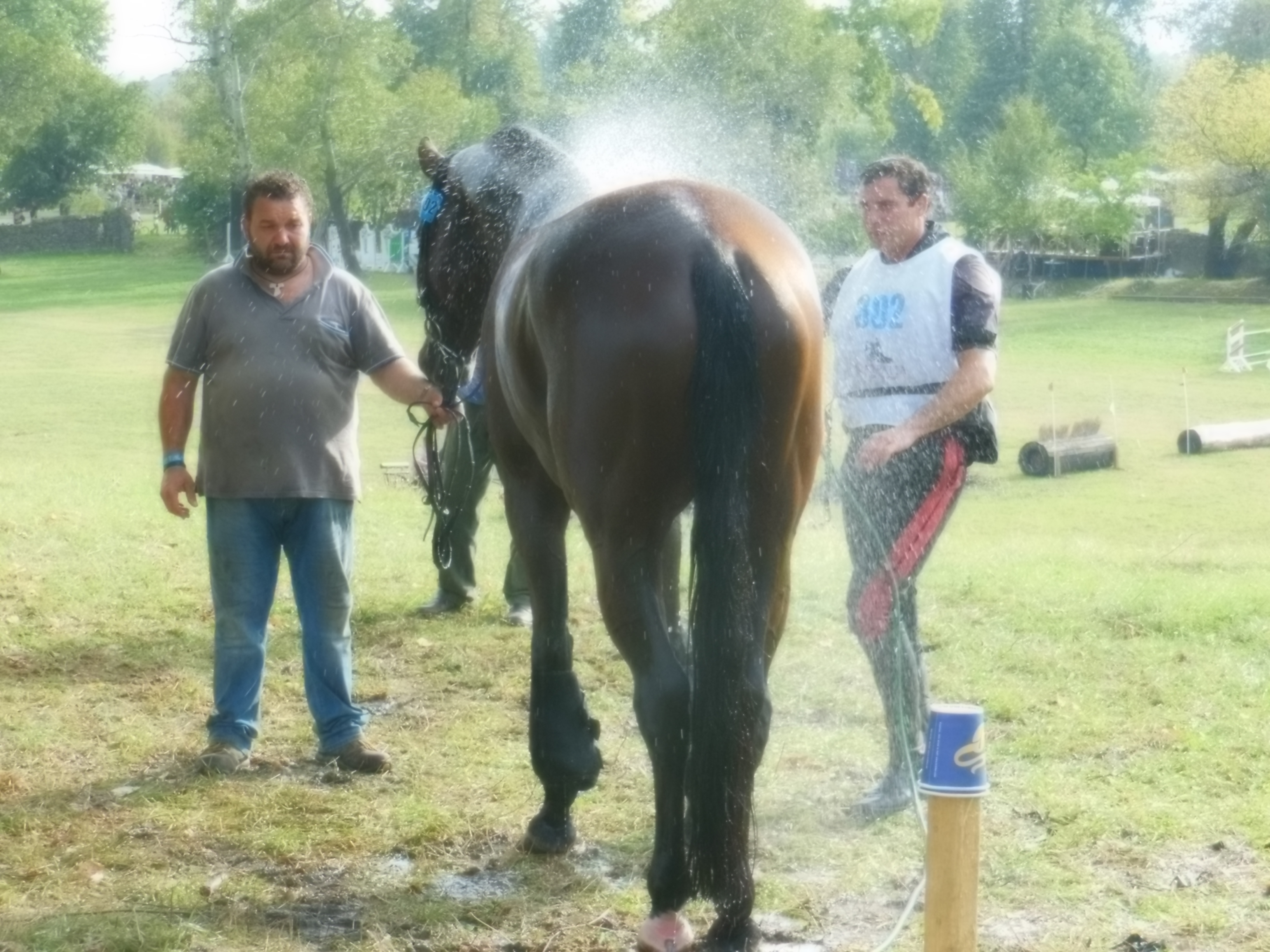 O zi de poveste cu bucatarasi dragi