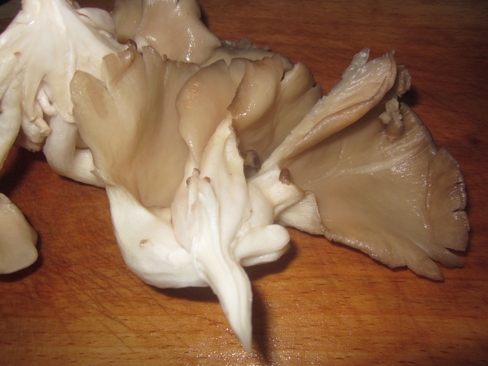 Mancare de ciuperci pleurotus cu praz