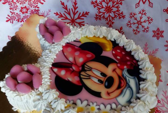 Desert tort  Minnie