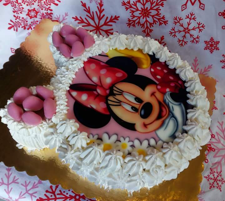 Desert tort  Minnie