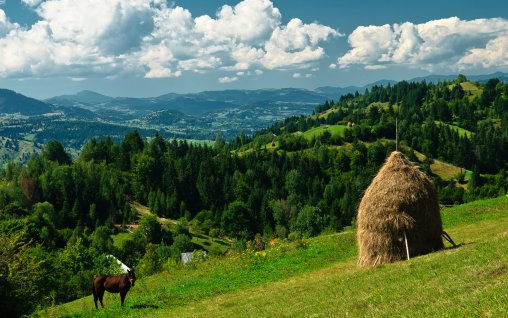 Intalnire marca Bucataras vara 2017