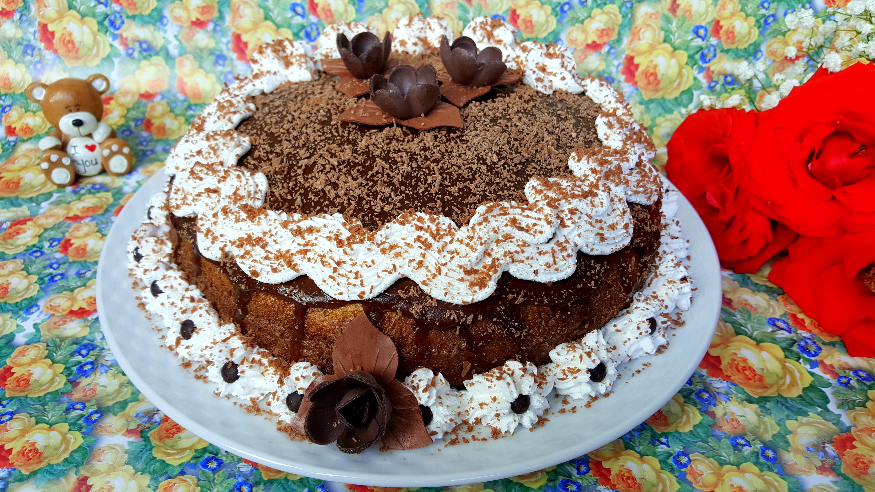 Desert tort amandina