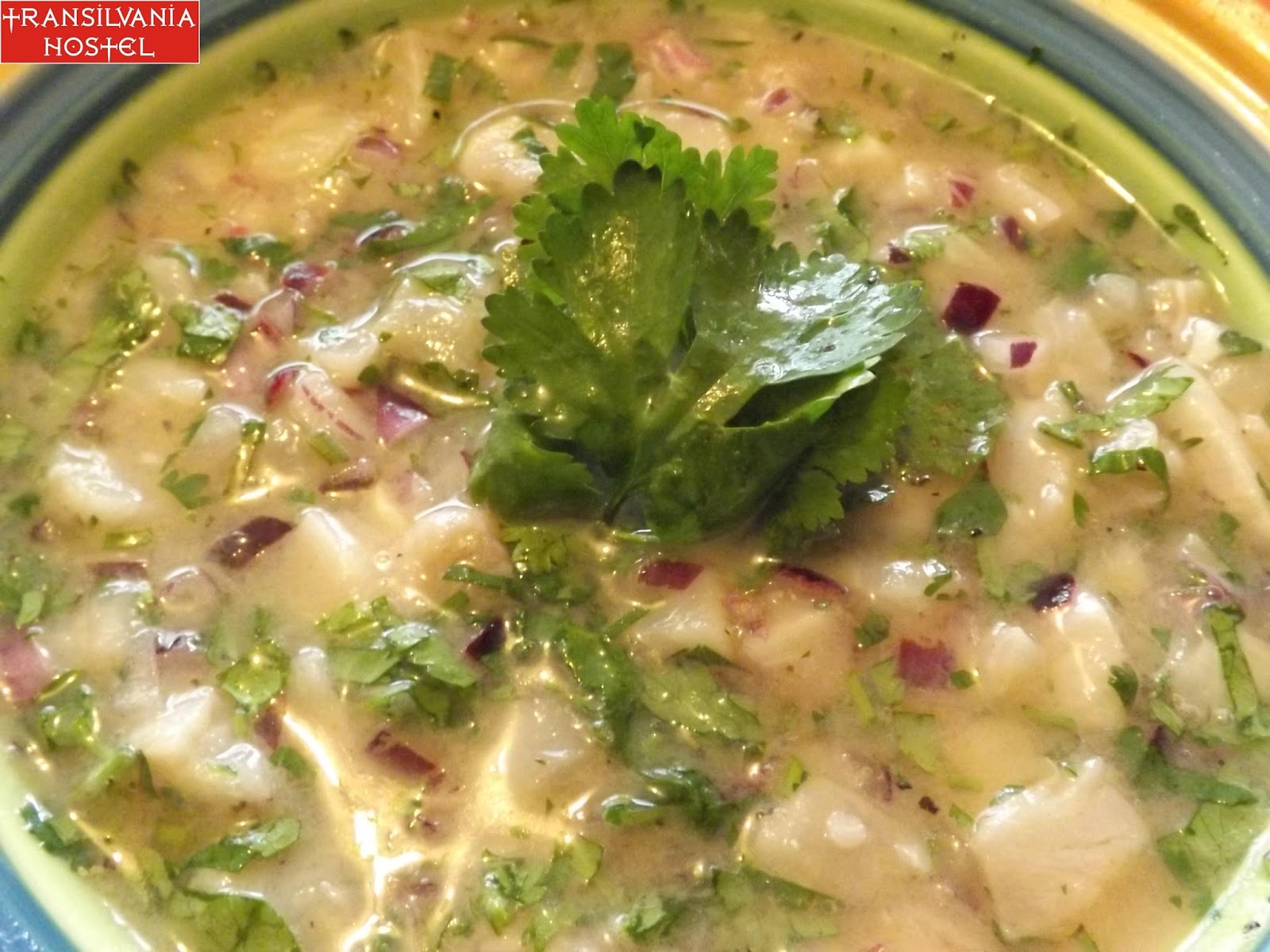 Ceviche Tico de pescado (peste)