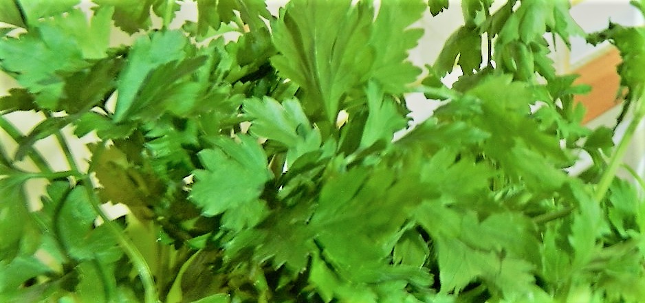 Salata de fasole verde fideluta cu iaurt cremos