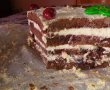 Desert tort Foret Noire-1