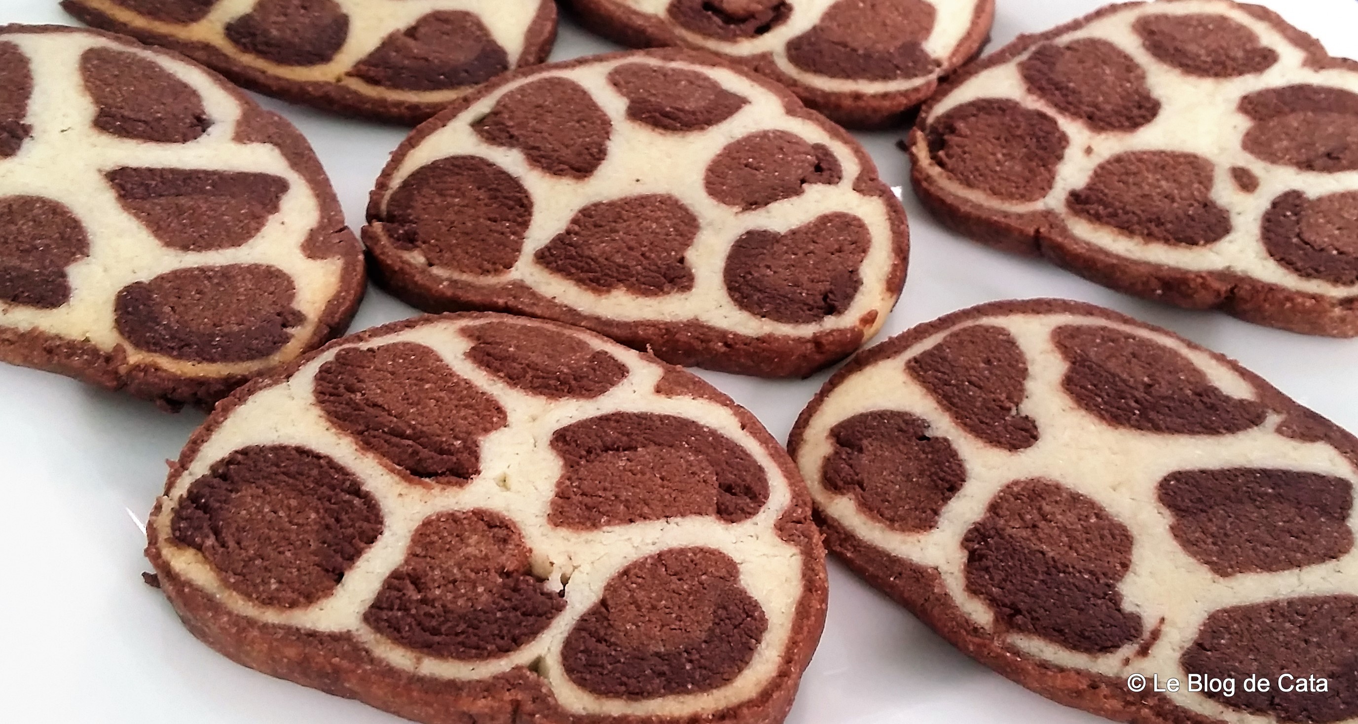 Desert biscuiti Leopard