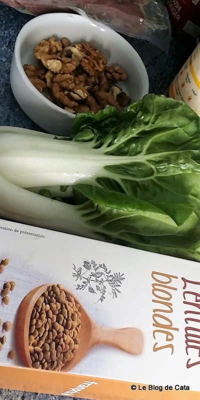 Salata de linte, pipote de rata confiate si varza pak choy