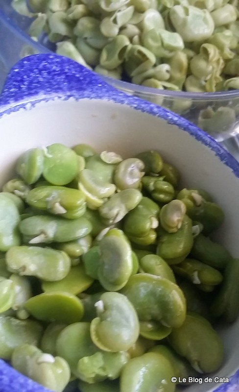 Supa crema de fasole proaspata fava