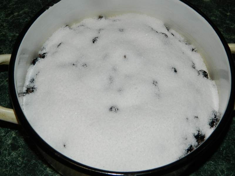 Dulceata de coacaze negre