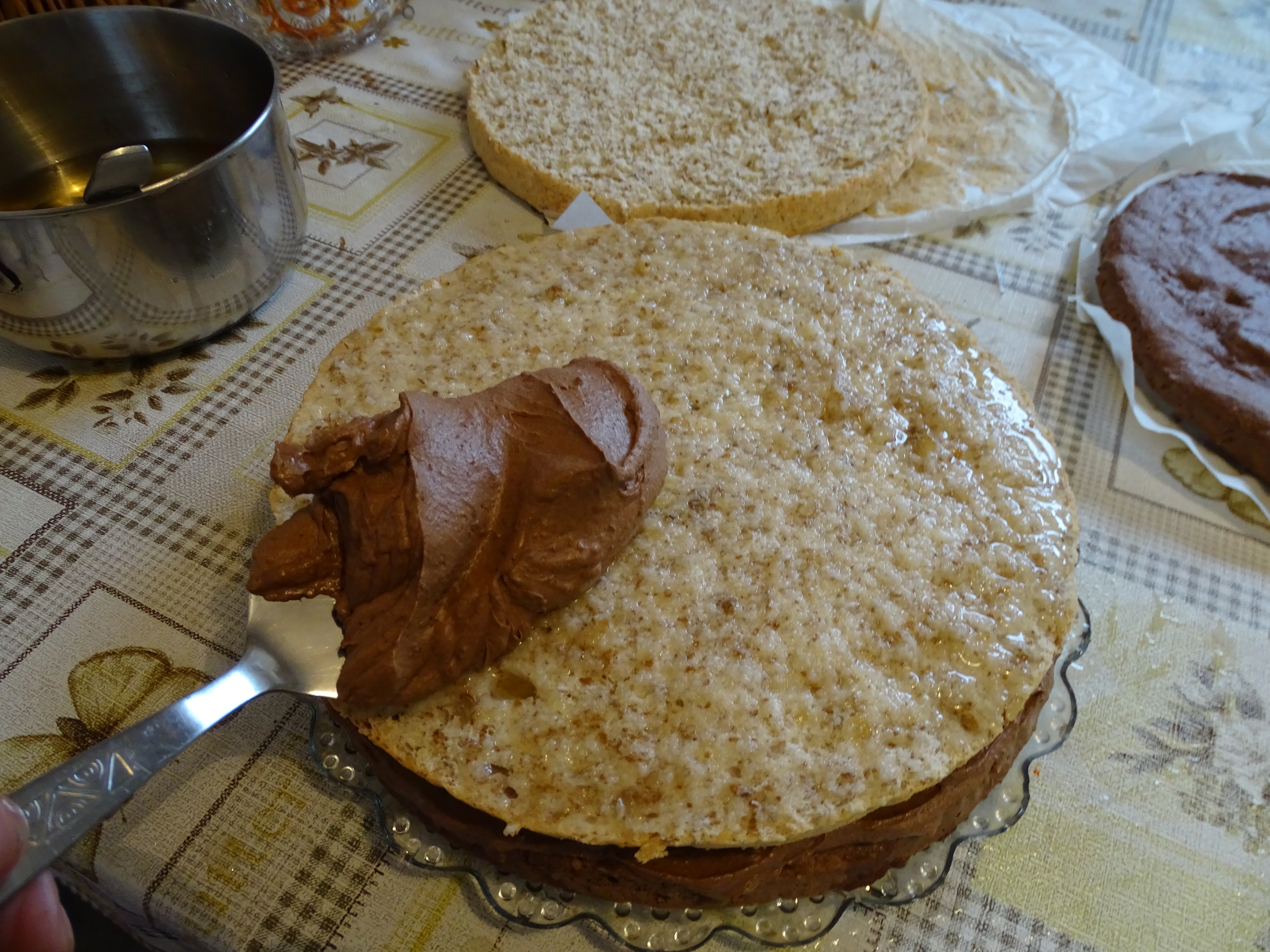 Desert tort Ema